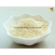 Panax Ginseng Extract 80% Ginsenoside